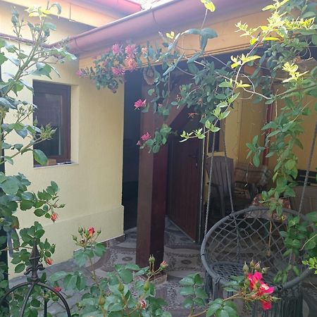 Casa Bunicilor Apartment Cisnadie Exterior photo