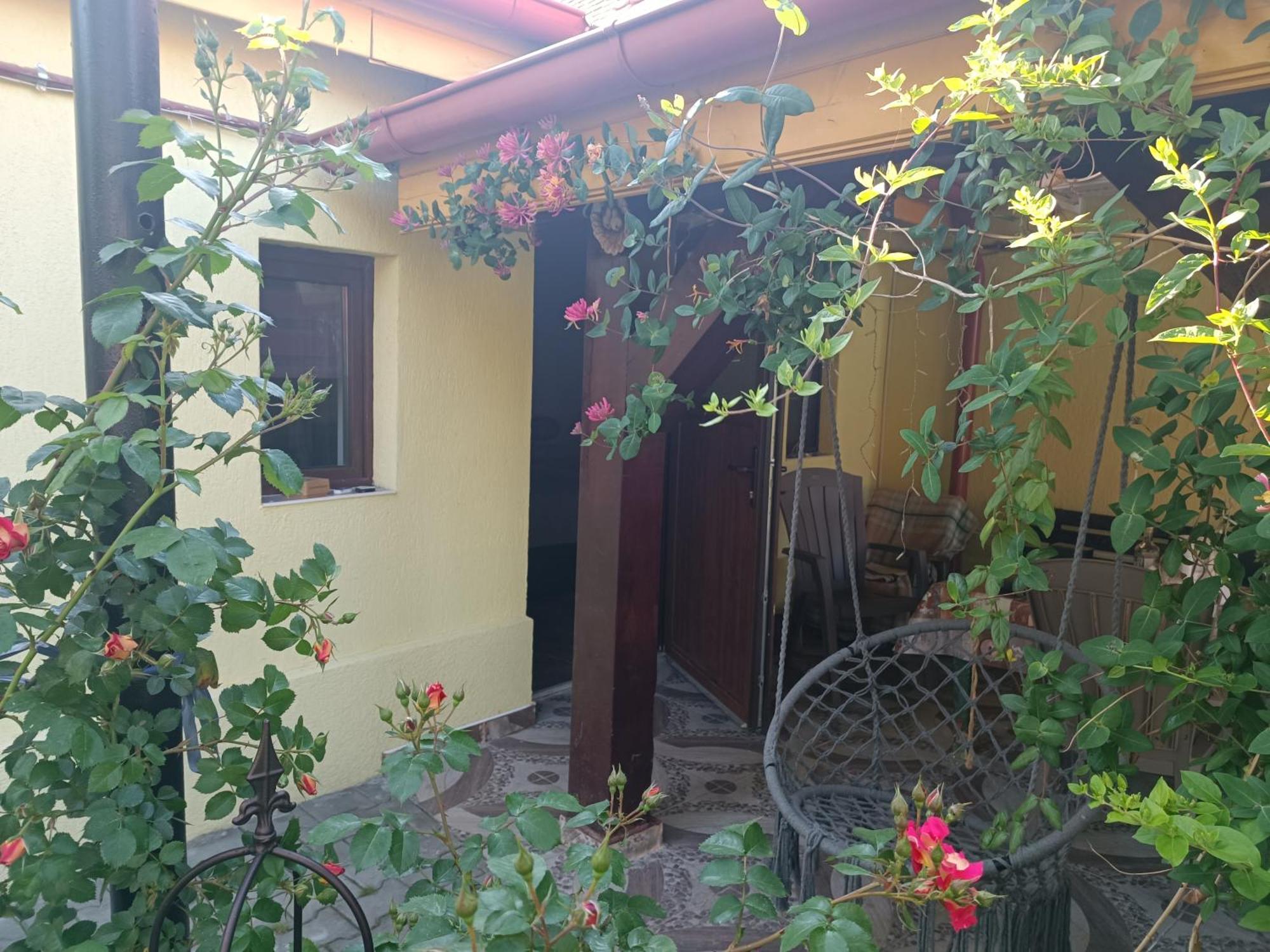 Casa Bunicilor Apartment Cisnadie Exterior photo
